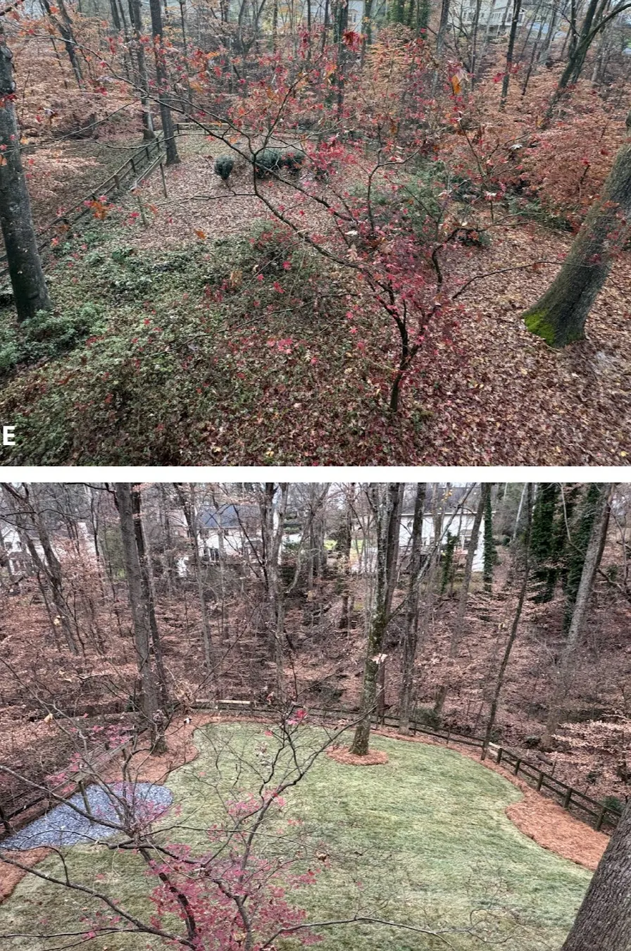 Seasonal Lawn Cleanup Services